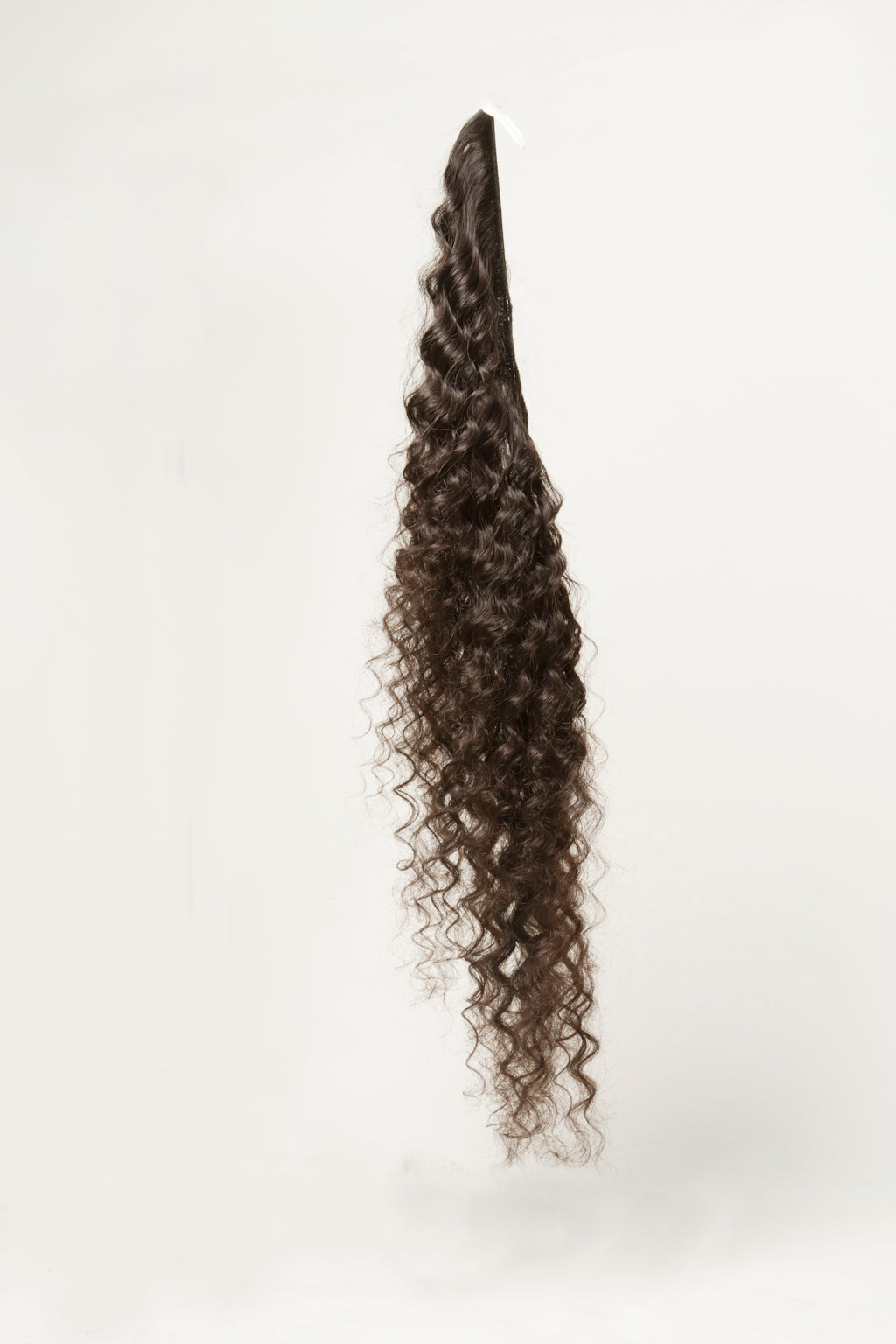 Hurricane Curl